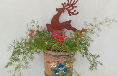 Il nido (Cica) - Foto 22