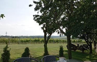 Domki w Winnicy - Świętokrzyska Winnica Knapów - Foto 3