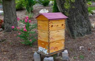 The Tannery - Foto 26