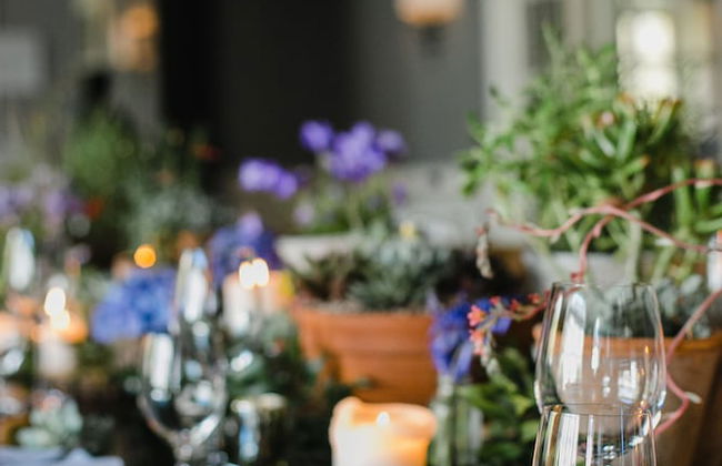 Virginia Park Lodge - Foto 30