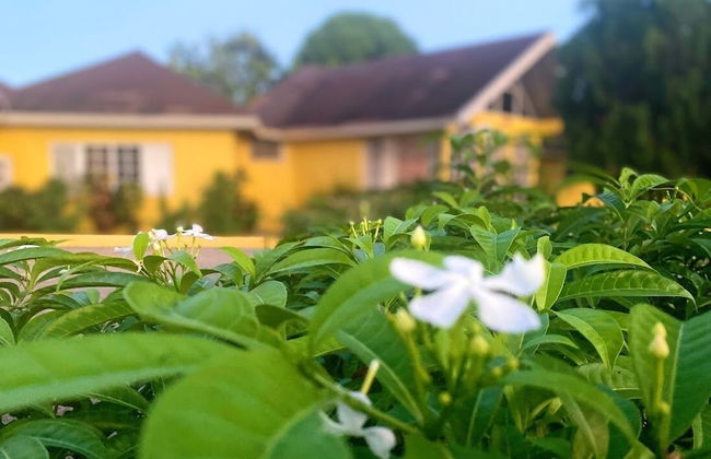 Yancey Largo Villa Perfect Jamaica Ironshore Getaway w Private Pool and Onsite Staff Services by RedAwning - Photo 79
