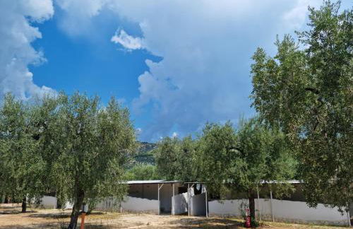 Apartments Villaggio Riccio - Foto 14