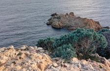 Appartement T2 à la Croix Valmer piscine et tennis - Foto 33