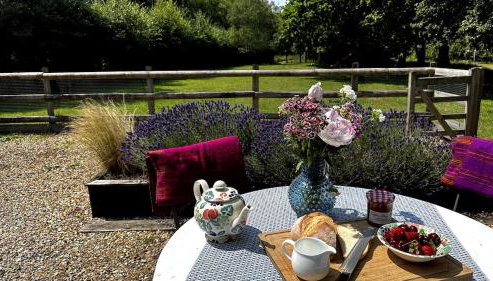 Cottage near Corfe & Jurassic Coast - Foto 3, Garden, Garden view