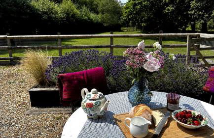 Cottage near Corfe & Jurassic Coast - Foto 3