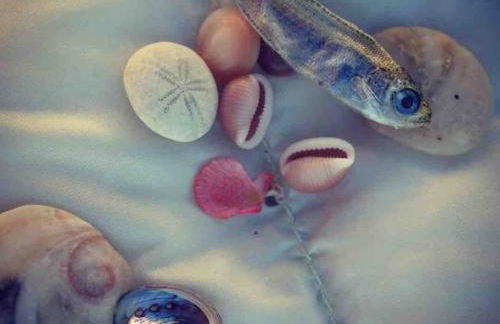 Jolie maison catalane chaleureuse et confortable - Foto 23