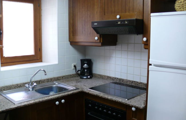 APARTMENTSUITESPAIN BAQUEIRA Jardin Privado - Foto 8