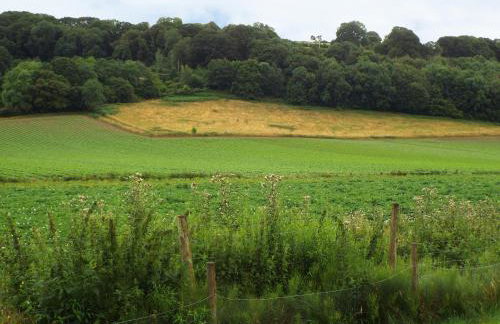 The Granary - Foto 11