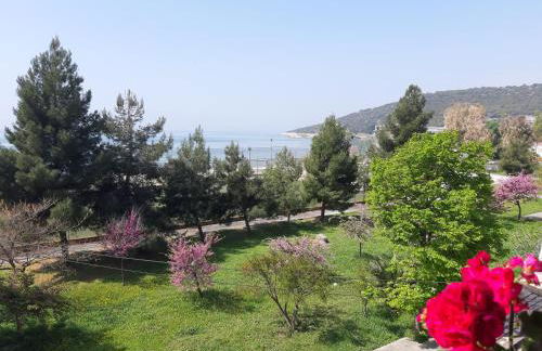 Soula's sunshine big Apartment - Photo 17