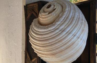 Apartmani Roxy - Foto 51