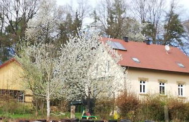 Ferienhaus Rötzer - Forsthausschmankerl mit Sauna, Whirlpool und Grill - Foto 1