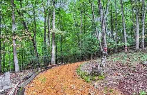 Georgia Lakeside Getaway with Private Pool - Foto 77