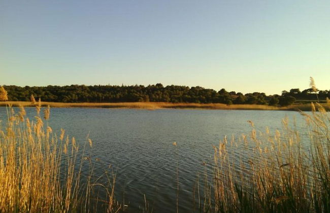 Villa in Rada With Garden and Barbecue - Foto 30