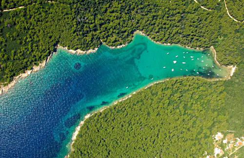 Apartments Novak - Photo 6