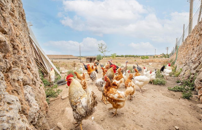 Cozy Stay in Historic Estate - Foto 36