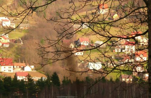 Domki na Polach Piwniczna-Zdrój - Foto 16