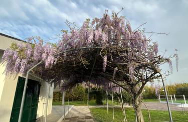 Cicale relaxing home - aria condizionata, parcheggio, giardino - Photo 16