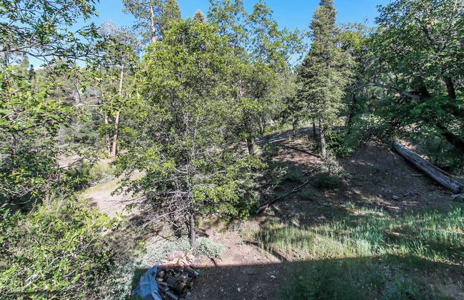 Rest N Relax Inn - Beautiful chalet-style cabin features dramatic forest and slope views! - Foto 45