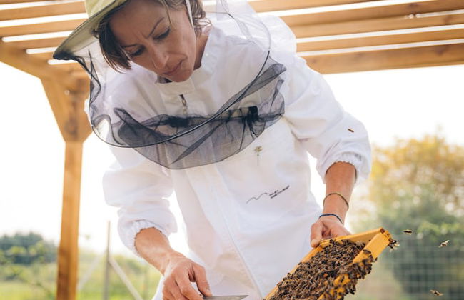 Milea Agritourism - Foto 71