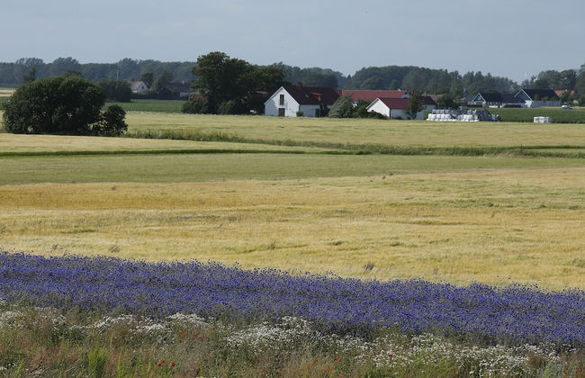 Mälarhusen Semesterby Österlen - Stugor & Gårdssviter - Photo 61