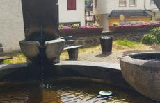 Casa Servatius - Foto 4