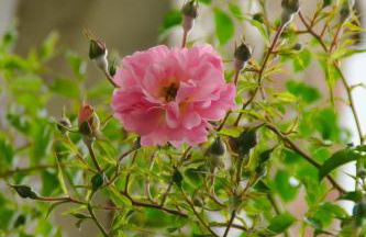 Villa Valentine - Foto 19