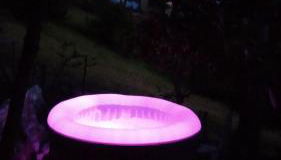 L'ALPACA DELLA ROSSA - AGRITURISMO - Foto 2