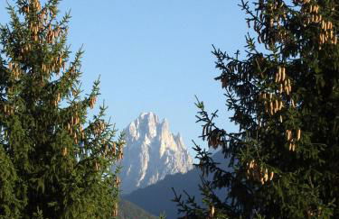 Appartment Kirch Neuhaus - Photo 13