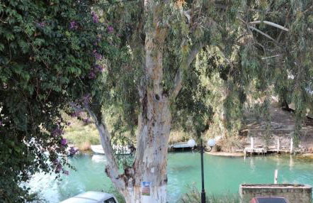 Egeon Rooms and Studios - Foto 30