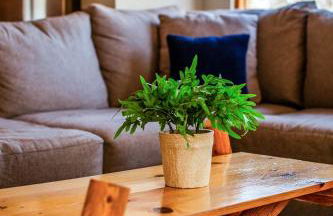 Zen Zion accommodates large groups of up to 30 - Foto 38