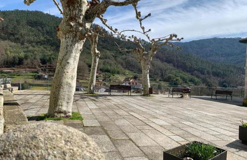 Cepas Da Cuenga - Foto 36