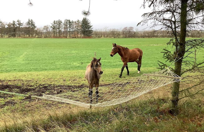 6 Person Holiday Home in Bedsted Thy - Foto 19