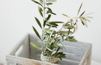 Make yourself at home! MYSTH - Foto 32