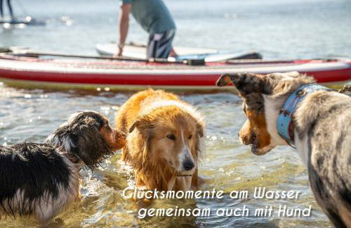 relaxvibes mit Sauna & Kamin - Foto 20