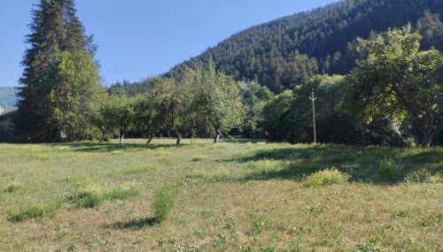 Maison carrée - domaine du vieux tilleul - Foto 5