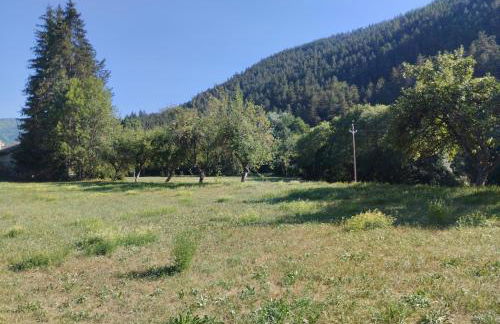 Maison carrée - domaine du vieux tilleul - Foto 5