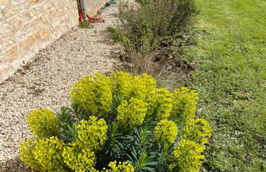 CERES HOME - Foto 13