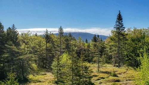 Cadillac Mountain Overlook - Foto 5