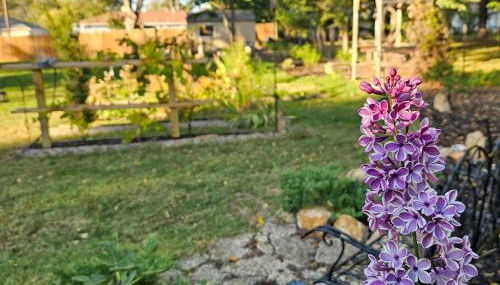 Quaint Cottage - Kansas City Area - Foto 3