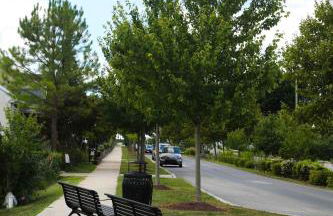 1939 Four Bed Rustic Escape by Casino - Foto 13