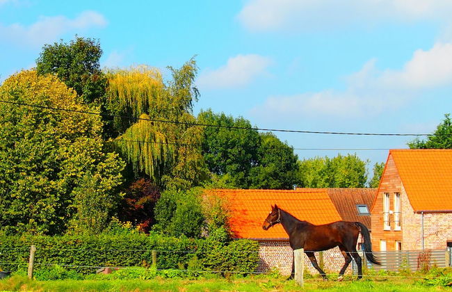 Gite L'archipel - Foto 62