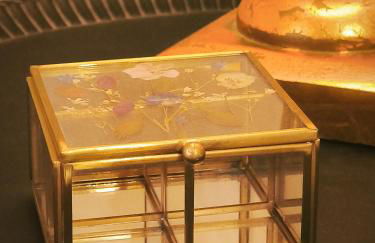 Ispal Triana - Photo 17