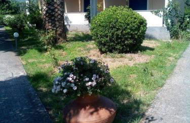 Anna Daniil Oasis Studios Skala Kallonis - Foto 53