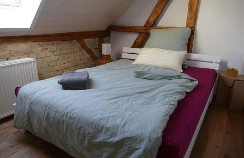 Naturgarten Karlsfeld in der schönen Lausitz - Foto 5