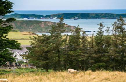 Ty Gan y Mor - Foto 77