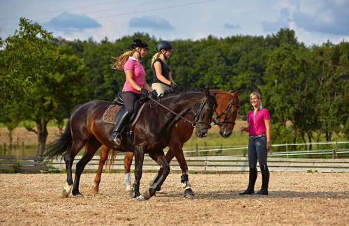 Urlaubsreiterhof Trunk - Foto 51