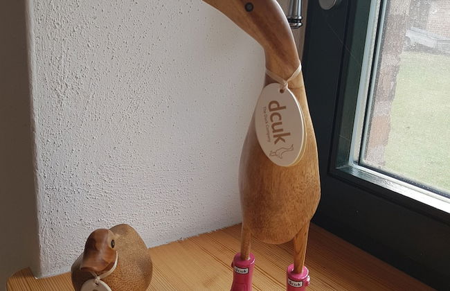 Ferienhof Mochowsee - Photo 38