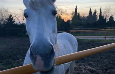 FINCA EL CERRO - Foto 10