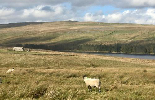 Weardale Cottage - Photo 24
