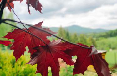 Bieszczadzka Chatka- domek góralski - Foto 13